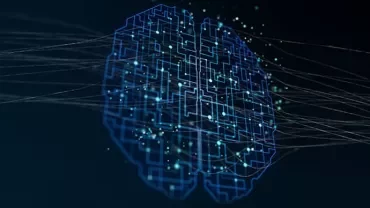 Abstract representation of a digital brain with neural connections.