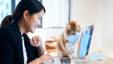 Woman smiling at a laptop with a curious cat next to her.