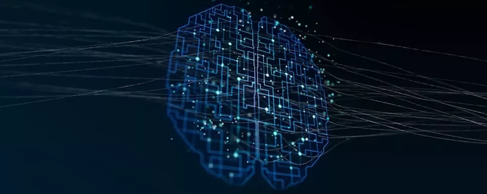 Abstract representation of a digital brain with neural connections.