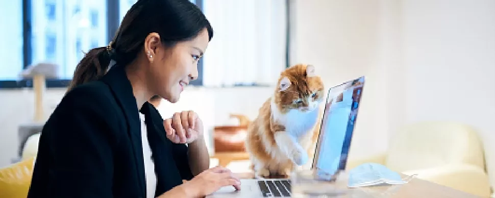 Woman smiling at a laptop with a curious cat next to her.